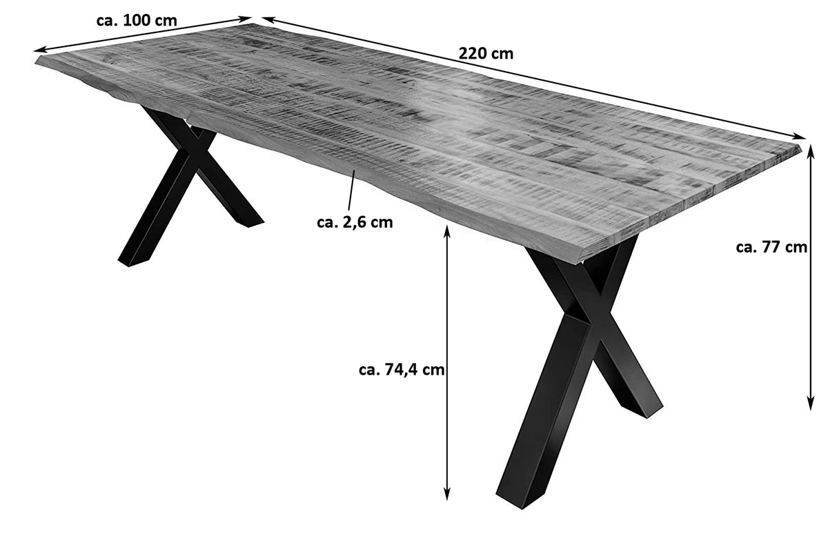 #220x100 #x-gestellsilber