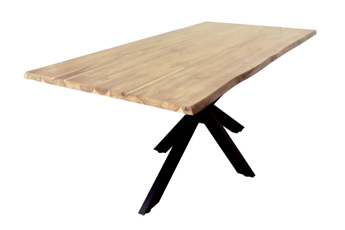 #200x100 #naturfarben #spider-gestellschwarz