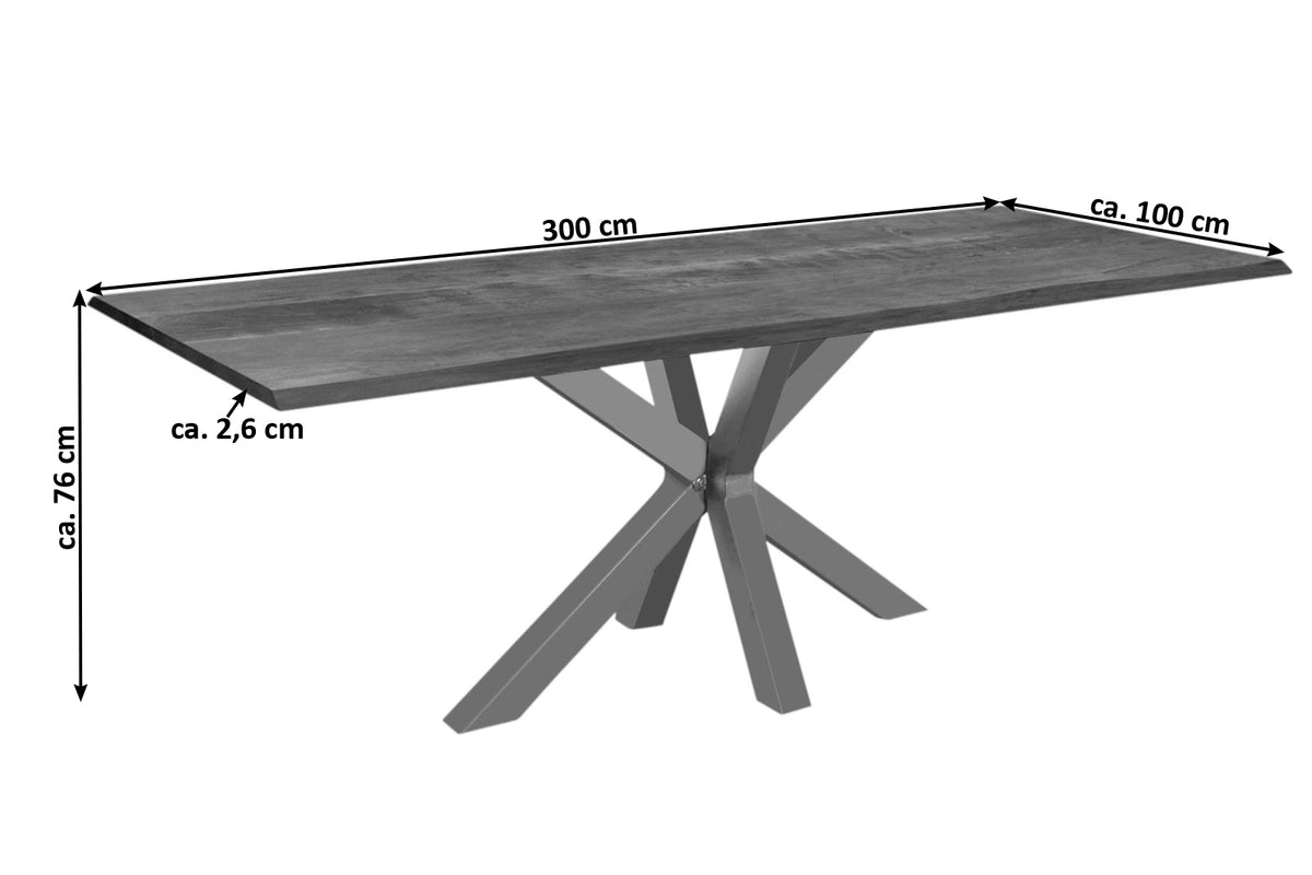 #300x100 #nussbaumfarben #silber