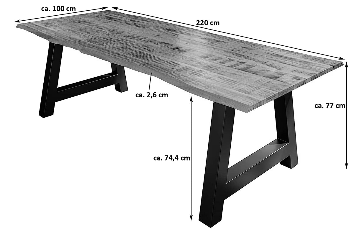 #220x100 #a-gestellsilber