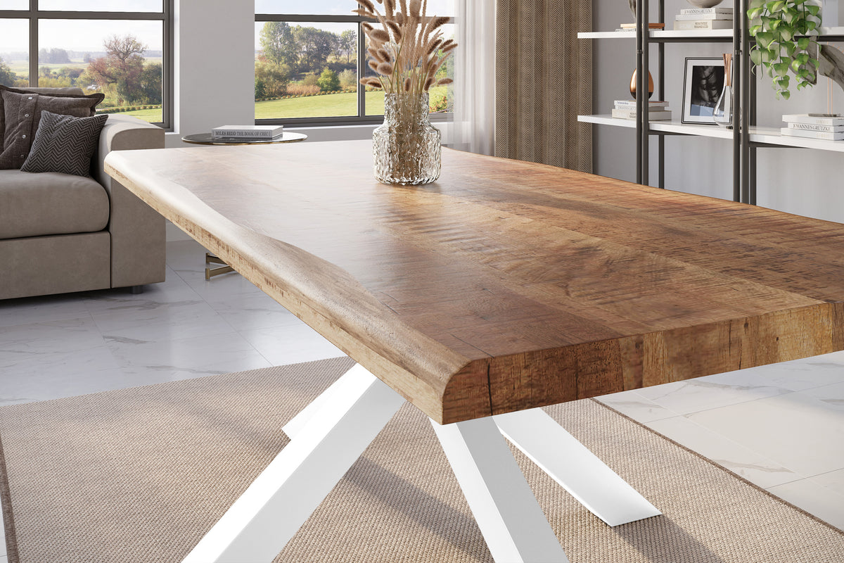 #220x100 #mangoroughfarben #spider-gestellweiß