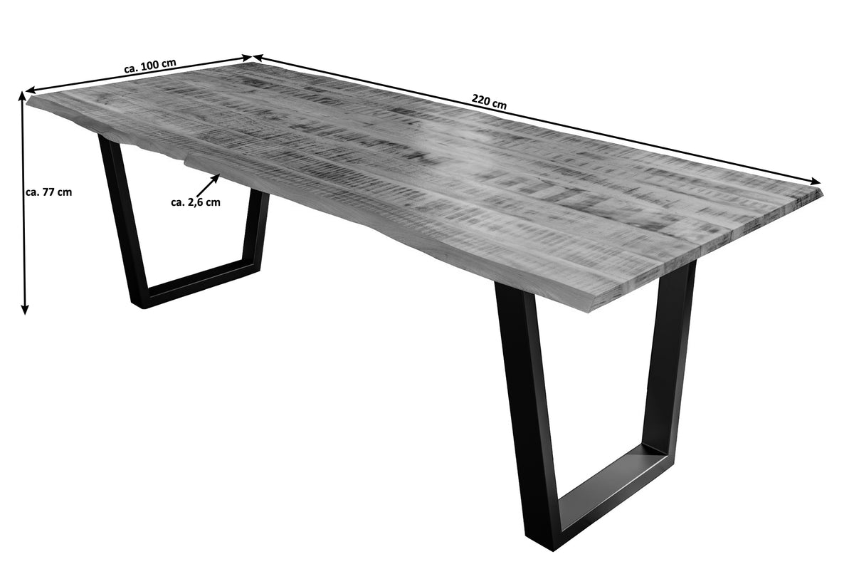 #220x100 #v-gestellsilber