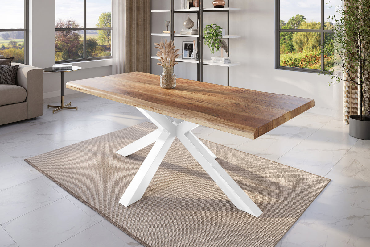 #240x100 #mangoroughfarben #spider-gestellweiß