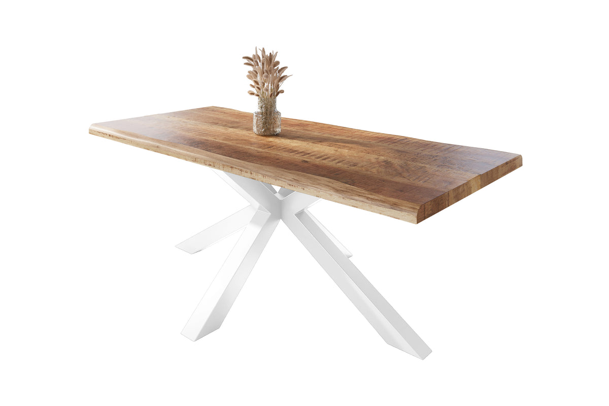 #220x100 #mangoroughfarben #spider-gestellweiß