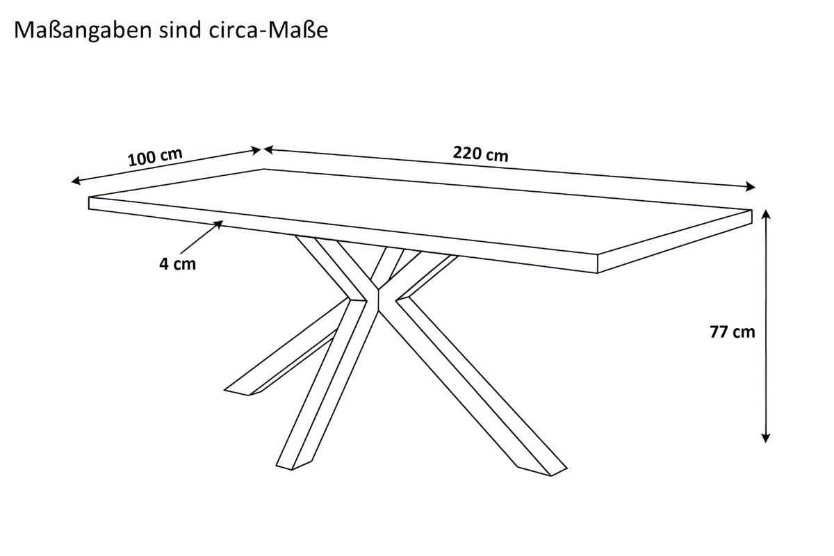 #220x100 #holzgrau-optik #spider-gestellschwarz