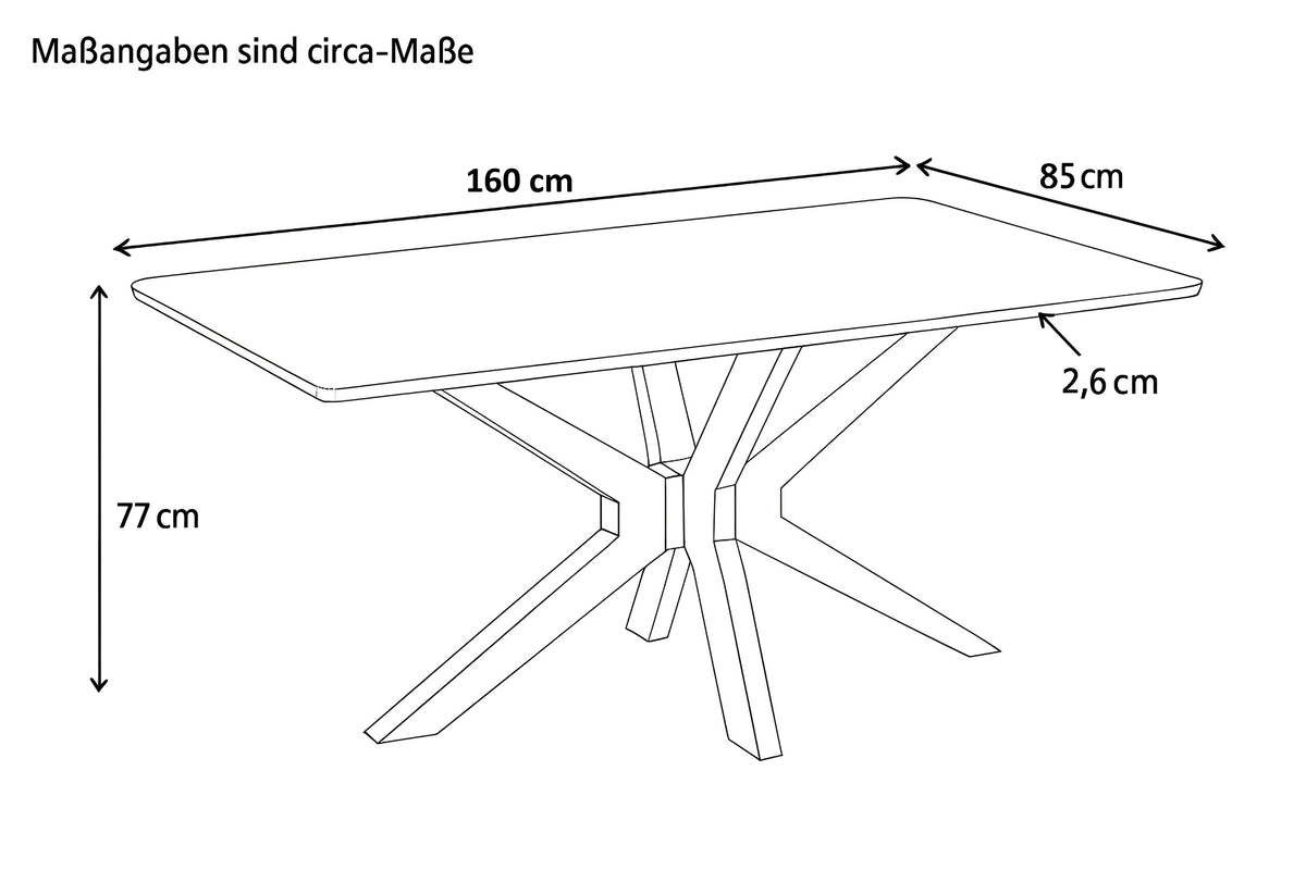 #160x85 #spider-gestellkastanie
